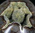 Crystal Filled Septarian Geode - Utah #33095-2